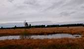 Trail Walking Baelen - 20231030 - Drossart 7.8 Km - Photo 12