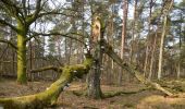 Tour Zu Fuß Arnheim - Deelerwoud - Rood - Photo 3