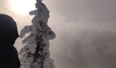 Percorso Racchette da neve Autrans-Méaudre en Vercors - La cheminée  - Photo 3