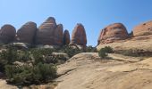 Trail Walking Unknown - 2024 Canyonlands The Needles - Photo 20