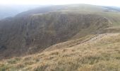 Tour Wandern Woll - mon sentier des névés : hohneck . kastelbergwasen . firstmiss . breitsouze . Le hohneck  - Photo 20