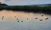 Randonnée V.T.C. Sanguinet - Sanguinet-Le lac à la tombée de la nuit - Photo 3