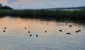 Excursión Bicicleta híbrida Sanguinet - Sanguinet-Le lac à la tombée de la nuit - Photo 3