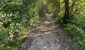 Tocht Stappen Rocamadour - rocamadour - Photo 5