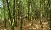 Tour Wandern Libin - troisièmes étapes entre lesse et lomme  - Photo 2