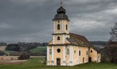 Excursión A pie Lafnitz - Lafnitz Rundwanderweg L4 - Photo 2