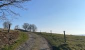 Tour Wandern Rendeux - Hodister  - Photo 15