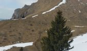 Tour Schneeschuhwandern Puygros - Pic de Sauge - Photo 3
