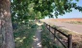 Tour Wandern Bercianos del Real Camino - 2023 18 mansilla - Photo 2