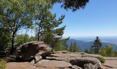 Excursión Senderismo La Vancelle - Les Hauts de La Vancelle - Photo 20