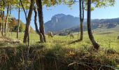 Tour Wandern Saint-Nizier-du-Moucherotte - Plateau Charvet (petite boucle) - Photo 5