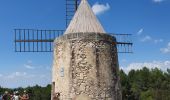 Percorso Marcia Fontvieille - le moulin de Daudet - Photo 1