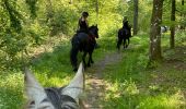 Trail Horseback riding Bastogne - Luxembourg  - Photo 4