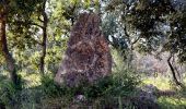 Percorso Marcia Garéoult - L'Amarron depuis Garéoult - Photo 1