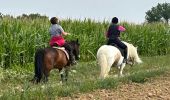 Tour Wandern Incourt - #230721 - Roux-Miroir - GR 579 - Photo 13