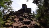 Tocht Stappen Orbey - Tour de lac Noir et du Lac Blanc  - Photo 2