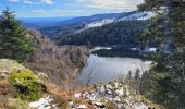 Trail Walking Rimbach-près-Masevaux - Rimbach - lacs du Neuweiher et des Perches par Rouge Gazon - Photo 7