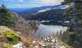 Randonnée Marche Rimbach-près-Masevaux - Rimbach - lacs du Neuweiher et des Perches par Rouge Gazon - Photo 7