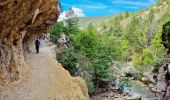 Trail Walking Estoublon - Gorges de Trévans - Photo 11