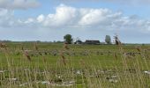 Trail Walking Reimerswaal - Yserke 15 km - Photo 10