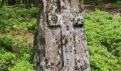 Excursión Senderismo Allarmont - 2019-06-08 Marche Allarmont et ses rochers - Photo 15