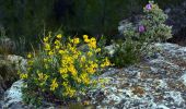 Tocht Stappen Toulon - SityTrail - 4 Chemins des Routes - Le Croupatier - Le Broussan - Col du Corps de Garde - Photo 3