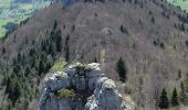 Randonnée Marche Gresse-en-Vercors - Le tour du palais - Photo 8