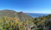 Trail Walking Saint-Raphaël - Cap Roux et grues depuis Belle-Barbe - Photo 15