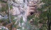 Excursión Senderismo Châtelus - la grotte des Gaulois, le pas de l' Echarasson, porte du diable, pas de charmate - Photo 10