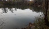 Trail Walking Namur - Naninne 081220 - Photo 5
