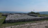 Tour Zu Fuß Sondershausen - Frauenbergrundweg - Photo 3