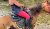 Trail Horseback riding Hériménil - Herimenil baignade Tivio Kenzo tiboy  - Photo 1