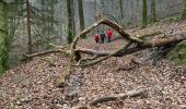 Tour Wandern Somme-Leuze - Somme-Leuze - Photo 13
