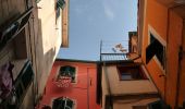 Tour Zu Fuß Vernazza - Vernazza – Mad. di Reggio – F.ce di Drignana - Photo 4