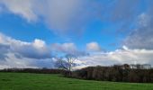 Trail Walking Franqueville-Saint-Pierre - 20241203-le faulx - Photo 1