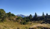 Tour Wandern Albiès - Plateau de beille 2023 - Photo 2