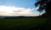 Percorso A piedi Oberembrach - Ober Mettmenstetten - Embrach Oberdorf Bus - Photo 2