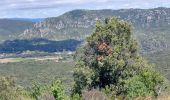 Tour Wandern Cabrières - Pic de Viss - Photo 1