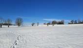 Randonnée Marche Dalhem - dalhem-val dieu sous la neige  - Photo 9
