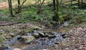 Trail Walking Aywaille - Boucle Aywaille - Photo 4