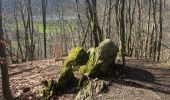 Tocht Stappen Stavelot - Stavelot- Chemin des source  14 Km - Photo 5