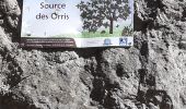 Percorso Marcia La Roquebrussanne - Source des Orris rochers menhirs (83) - Photo 3