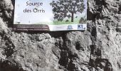 Randonnée Marche La Roquebrussanne - Source des Orris rochers menhirs (83) - Photo 3