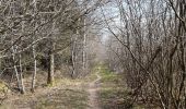 Trail Walking Spa - barisart creppe évoque berinzenne geronstere barisart  - Photo 16