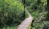 Trail Walking Froidchapelle - La balade du bois du Grand Oupia aux lacs de l'eau d'heure - Photo 6