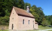 Tour Zu Fuß Kirchzell - Rundwanderweg Ottorfszelll 2 - Photo 3