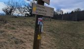 Trail Walking Corbonod - AIN: SUR LYAND - CRETES - CHARBEMENES - VALLON D'ARVIERES - GRANGE D'EN BAS - Photo 4