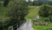 Tour Zu Fuß Bergün Filisur - Bergner Holzweg - Photo 8