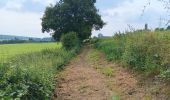 Tour Wandern Ouffet - adeps 10km ellemelle - Photo 13