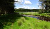 Trail On foot Westport-Belmullet Municipal District - Botky Teep - Photo 7